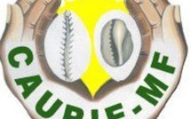 Kolda - Promotion économique des femmes : Caurie micro finance est elle réellement entrain d’appauvrir cette couche vulnérable ?