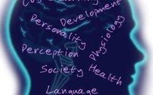 DÉDICACE DE «UNE AUTRE APPROCHE DE LA PSYCHOLOGIE DU COMPORTEMENT» : Djibril Amadou Kanouté interpelle les consciences