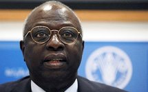 Jacques Diouf, directeur général de l'Organisation des Nations unies pour l'alimentation et l'agriculture (FAO)