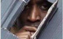 Crise en Libye : Plus de 1000 expatriés sénégalais bloqués à Sabaha