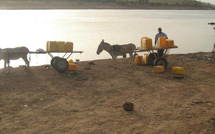 " Karim Coupelec Wade " ne veut plus quitter les ménages du département de BAKEL