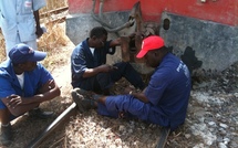 Ginaw Rail : Un homme voulait passer sous les wagons du Petit train bleu