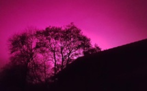 EN IMAGES - Nantes : en pleine nuit, un ciel violet intrigue les habitants
