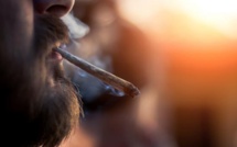 Fumer du cannabis pourrait "reprogrammer" le sperme et créer des spermatozoïdes mutants