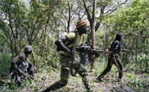 «Le dossier judiciaire du massacre de Boffa-Bayottes est au point mort»
