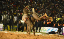 Modou Lo vs Eumeu Séne : Sidy Diagne et la Rdv décrochent le combat