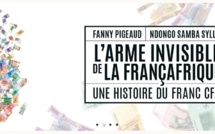 VIDEO - Le franc CFA est-il l'arme invisible de la Françafrique ?
