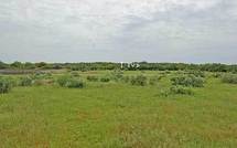 Spéculation foncière à Bambilor : Wade achète des terres à 350 francs le m2 qu’il revend à 1000 francs Cfa