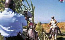 Les policiers corrompus par les chauffeurs  sur Facebook