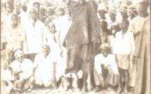 BIGNONA - BAKOLONG BADJI MONTE AU CIEL : L’histoire d’une ascension mal connue