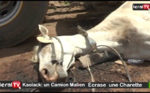 Kaolack: Les images insoutenables d'un charretier écrasé par un camion