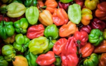 Pour punir sa fille, cette mère centrafricaine lui met du piment dans le sexe