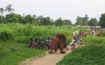 CASAMANCE : Le mythe ébranlé du Grand Djoudjou