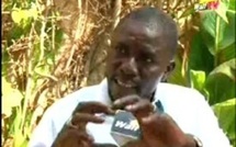 Affaire Taib Socé : Un petit-fils de Serigne Touba met les pieds dans le plat