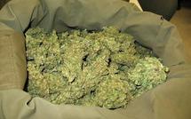 Un jeune Mbacké-Mbacké  et ses présumés acolytes écroués