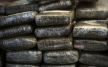 Kédougou : La Douane saisit 915 kg de chanvre indien estimés à 65 millions FCFA
