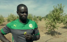 Ferdinand Coly : "Je vais renoncer à ma nationalité sénégalaise, je n’en peux plus"