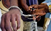 Du nouveau dans l’affaire Bineta Camara: Un jeune militant de l’Apr, proche de son père, arrêté