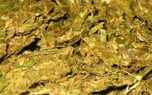 Un réseau de vendeurs de "yamba" à la cité Claudel