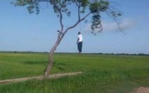 Linguère: un Malien retrouvé pendu à un arbre