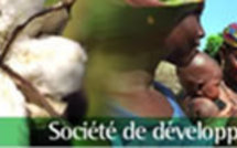 SODEFITEX : des ex-travailleurs réclament 36 mois de salaire