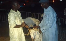 [Photos] Tabaski: Salam Diallo débourse 1 millions cent pour un mouton chez Gallo thiéllo