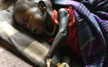 Lutte contre la malnutrition: 80 milles enfants risquent de mourir d’ici à 10 ans, si rien n’est fait