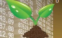 Economie: Le Secteur Agricole dotée d'une Bourse agricole