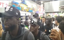 VIDEO - Accueil chaleureux des Lions au Caire... Regardez !