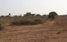 Litige foncier à Mbour: un imam et un vieux de 80 ans, emprisonnés