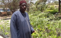 L’Uncefs accompagne la politique nationale de reforestation du gouvernement…