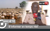 VIDEO - El Hadji Bouya Amar, Gouverneur de Louga: "Le vol de bétail a nettement diminué..."