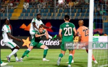 Sénégal vs Algérie: Les "Lions" faiblement notés