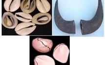 Thiaroye: Mor Talla Ndiaye  le marabout  « du sperme »  risque 5ans de prison.