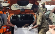 La drogue saisie au Port Autonome de Dakar évaluée à 58 milliards FCfa