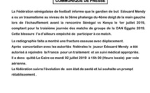 Can 2019- Equipe nationale: Edouard Mendy quitte définitivement la Tanière