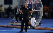 CAN 2019 - Demi-finale Sénégal / Tunisie : Alain Giresse retrouve les Lions