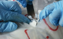 10 ans de travaux forcés requis pour trafic de drogue: La guinéenne  avait dissimulé 530g d’héroïne dans son sexe