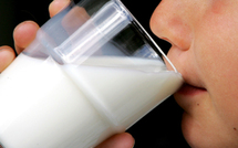 Le lait : Un compagnon indispensable d’une alimentation équilibrée !