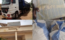 Tambacounda: La Douane saisit près de 600 kg de chanvre indien en une semaine