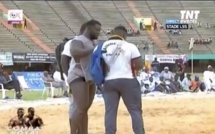 VIDEO - Combat Royal: Eumeu SENE et Modou LO sont dans les derniers réglages