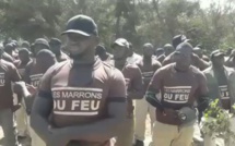 Manifestation « Marrons du feu » à Mermoz: plusieurs arrestations enregistrées