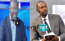 VIDEO - Babacar Gaye alerte Sonko: "La commission d'enquête a certes violé la loi mais...."