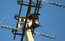 Drame dans un chantier à hauteur de Keur-Massar : Un ouvrier meurt électrocuté