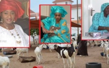 PHOTOS - Première Tabaski sans Cheikh Béthio Thioune: Découvrez ce que Sokhna Bator et Sokhna Adja Saliou ont fait pour Sokhna Aida Saliou