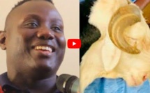 VIDEO - Serigne Mountakha offre au lutteur Wouly, un mouton d’une valeur d’un million de FCFA