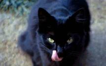 SOUPÇONNANT LA DAME DE 68 ANS D’ÊTRE UNE «DEUM» : Oumar Mbaye lui assène trois coups de poings, avant de lui fracturer le poignet