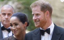 PHOTOS - Meghan Markle et le prince Harry : leur voyage secret en France très mal vu