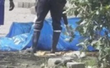 Mbour : le meurtrier de Cherif Aïdara arrêté