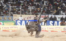 [Vidéos - Photos ] Lutte Victoire de Papa Sow sur Zoss 